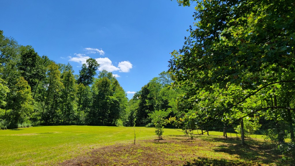 Future site of the wood shop and store