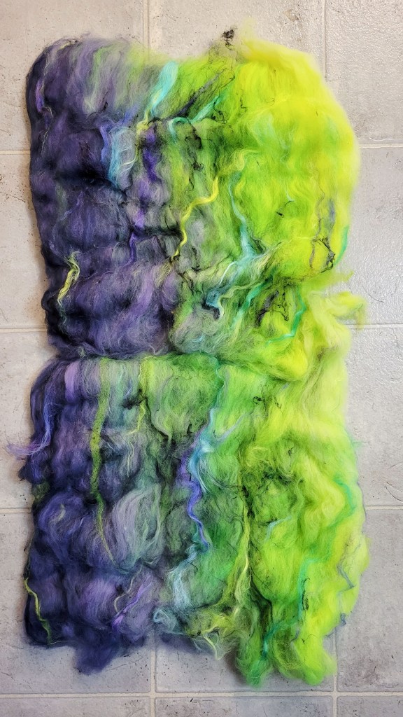 Two colorful batts of fiber laid out on the floor to assess the gradient color progression