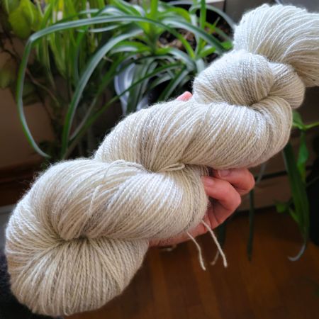 A hand holds a skein of white worsted Shetland yarn