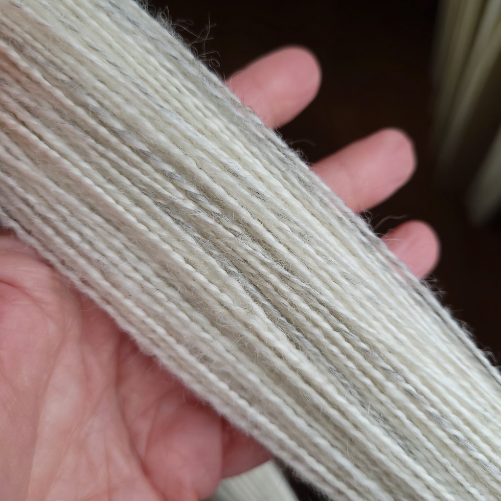 A closeup of the mostly white Shetland yarn.