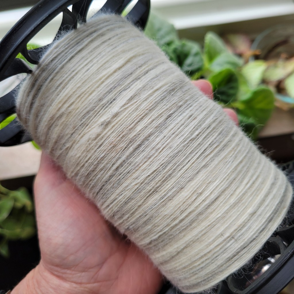 A hand holds a bobbin of spun yarn waiting to be plied